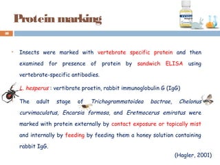 Protein marking
 Insects were marked with vertebrate specific protein and then
examined for presence of protein by sandwich ELISA using
vertebrate-specific antibodies.
 L. hesperus : vertibrate proetin, rabbit immunoglobulin G (IgG)
 The adult stage of Trichogrammatoidea bactrae, Chelonus
curvimaculatus, Encarsia formosa, and Eretmocerus emiratus were
marked with protein externally by contact exposure or topically mist
and internally by feeding by feeding them a honey solution containing
rabbit IgG.
48
(Hagler, 2001)
 