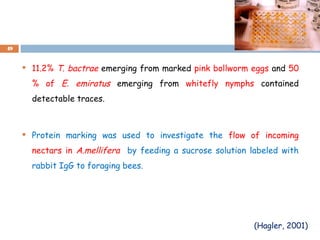  11.2% T. bactrae emerging from marked pink bollworm eggs and 50
% of E. emiratus emerging from whitefly nymphs contained
detectable traces.
 Protein marking was used to investigate the flow of incoming
nectars in A.mellifera by feeding a sucrose solution labeled with
rabbit IgG to foraging bees.
49
(Hagler, 2001)
 