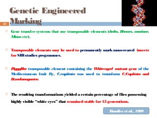 Genetic Engineered
Marking
 Gene transfer systems that use transposable elements (hobo, Hermes, mariner,
Minos etc).
 Transposable elements may be used to permanently mark mass-reared insects
forSIRstudies programmes.
 PiggyBac transposable element containing the White-eyed mutant gene of the
Mediterranean fruit fly, C.capitata was used to transform C.Capitata and
D.melanogaster.
 The resulting transformations yielded a certain percentage of flies possessing
highly visible “white eyes” that remained stable for15 generations.
51
Handleret al., 1999
 