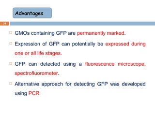  GMOs containing GFP are permanently marked.
 Expression of GFP can potentially be expressed during
one or all life stages.
 GFP can detected using a fluorescence microscope,
spectrofluorometer.
 Alternative approach for detecting GFP was developed
using PCR
54
Advantages
 