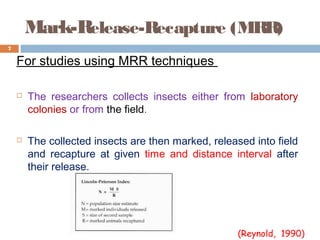 Mark-Release-Recapture (MRR)
For studies using MRR techniques
 The researchers collects insects either from laboratory
colonies or from the field.
 The collected insects are then marked, released into field
and recapture at given time and distance interval after
their release.
7
(Reynold, 1990)
 