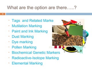 • Tags and Related Markers
• Mutilation Marking
• Paint and Ink Marking
• Dust Marking
• Dye marking
• Pollen Marking
• Biochemical Genetic Markers
• Radioactive-Isotope Marking
• Elemental Marking
9
What are the option are there…..?
 