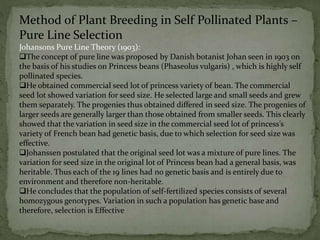 Pure Line Genetics Example Methods of plant breeding in self pollinating plants | PPTX