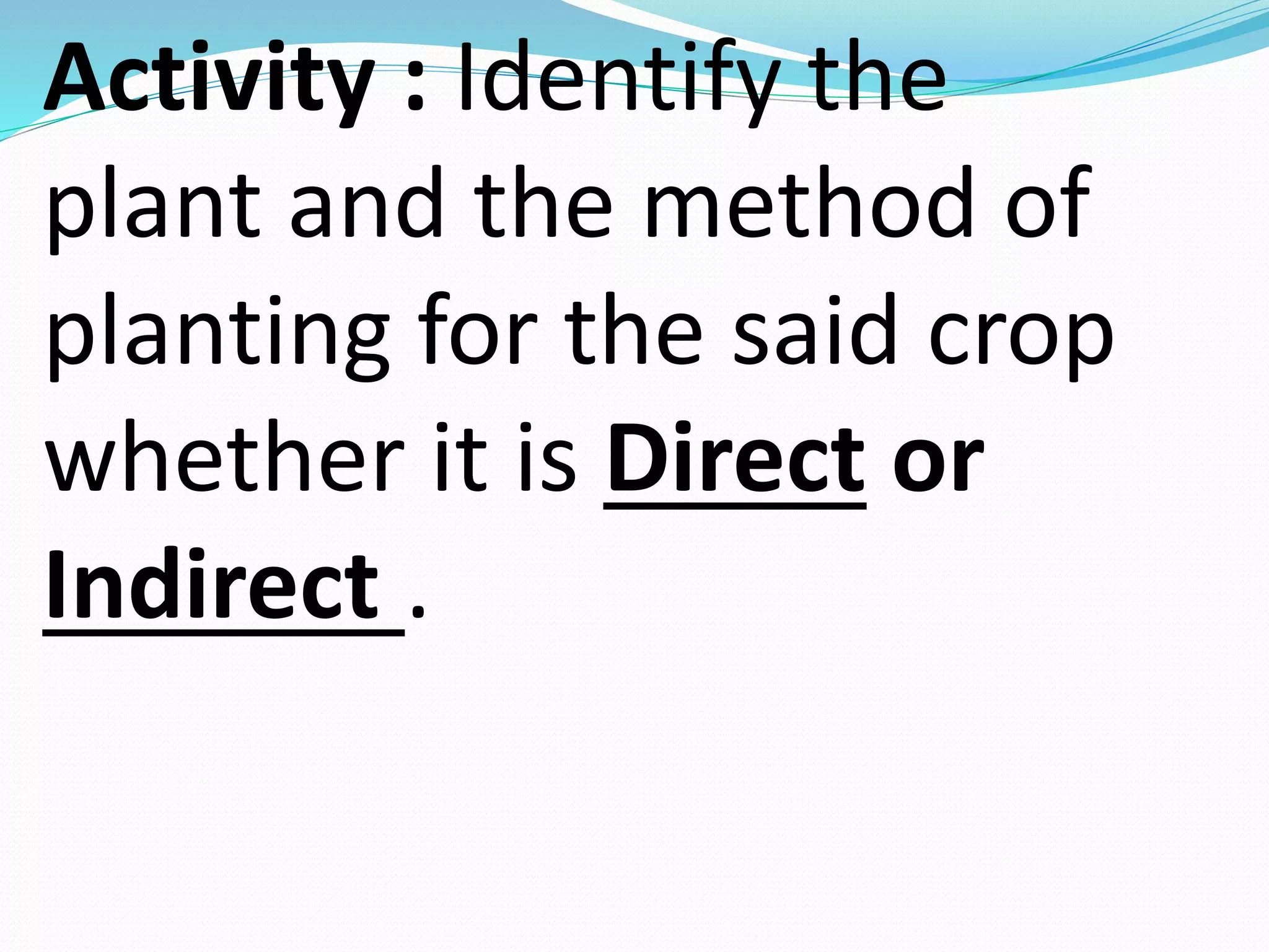 Activity : Identify the
plant and the method of
planting for the said crop
whether it is Direct or
Indirect .
 