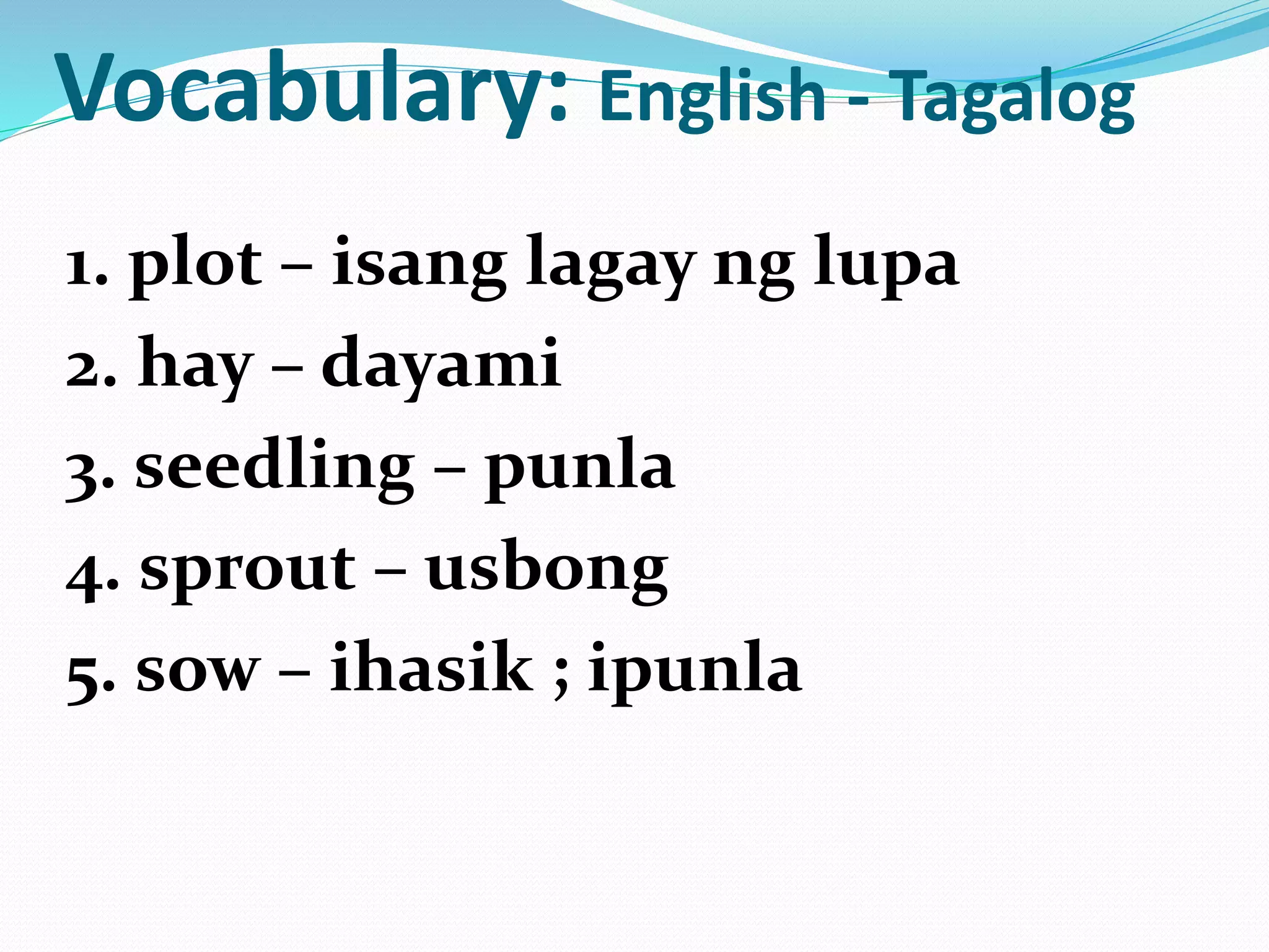 Vocabulary: English - Tagalog
1. plot – isang lagay ng lupa
2. hay – dayami
3. seedling – punla
4. sprout – usbong
5. sow – ihasik ; ipunla
 
