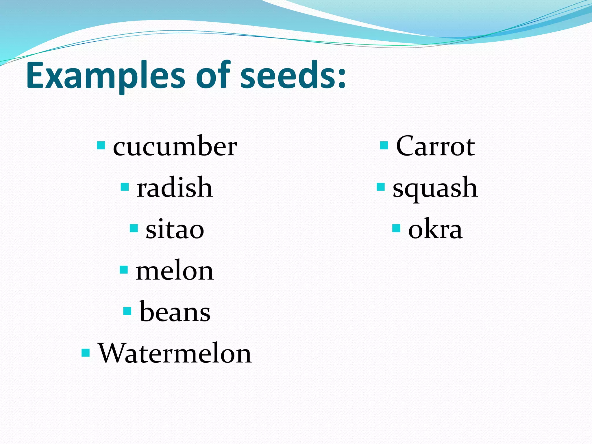 Examples of seeds:
 cucumber
 radish
 sitao
 melon
 beans
 Watermelon
 Carrot
 squash
 okra
 