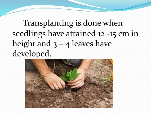 Methods of planting