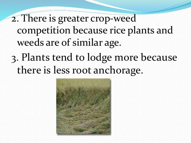 Methods of planting