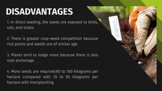 Methods of Planting.pdf