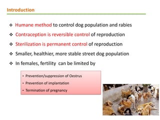 Reproductive Control Animals Methods of population control gynaecological .pdf