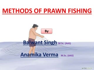 METHODS OF PRAWN FISHING
Balwant Singh M.Sc. (AAS)
Anamika Verma M.Sc. (AAS)
By
 