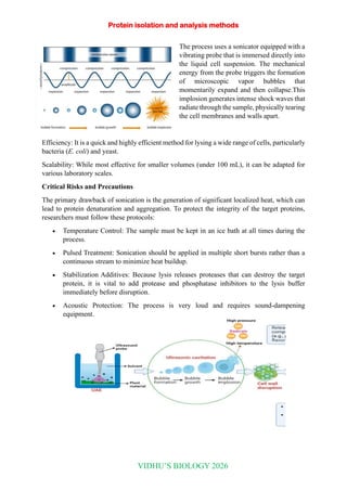 Protein Isolation Lab Methods of protein isolation and analysis.pdf