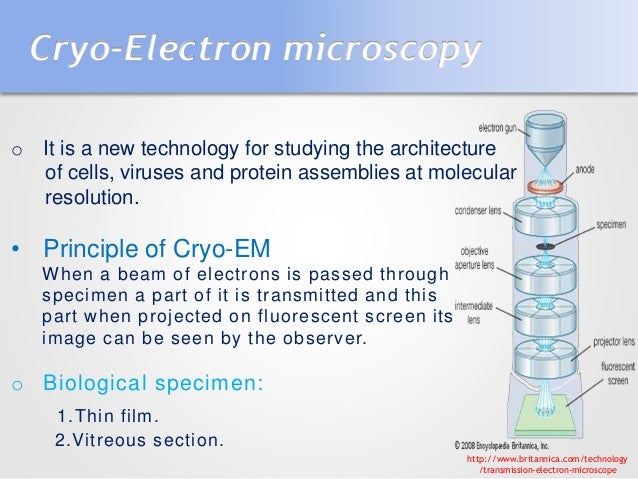 cryo electron microscopy