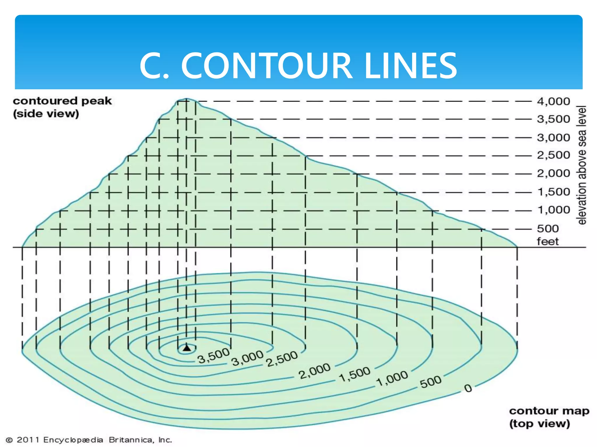 C. CONTOUR LINES
 