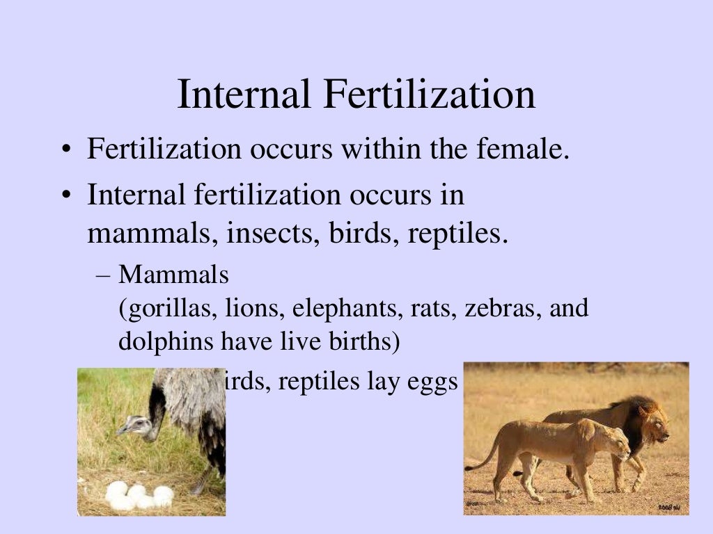 Methods of reproduction