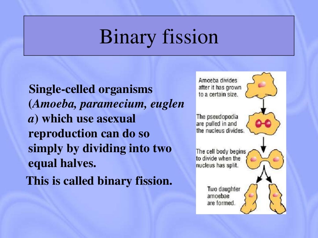 Methods of reproduction