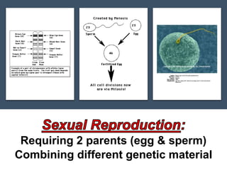 Methods/Modes of reproduction by L.Znerual | PPTX
