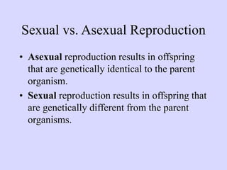 Sexual vs. Asexual Reproduction
• Asexual reproduction results in offspring
that are genetically identical to the parent
organism.
• Sexual reproduction results in offspring that
are genetically different from the parent
organisms.
 