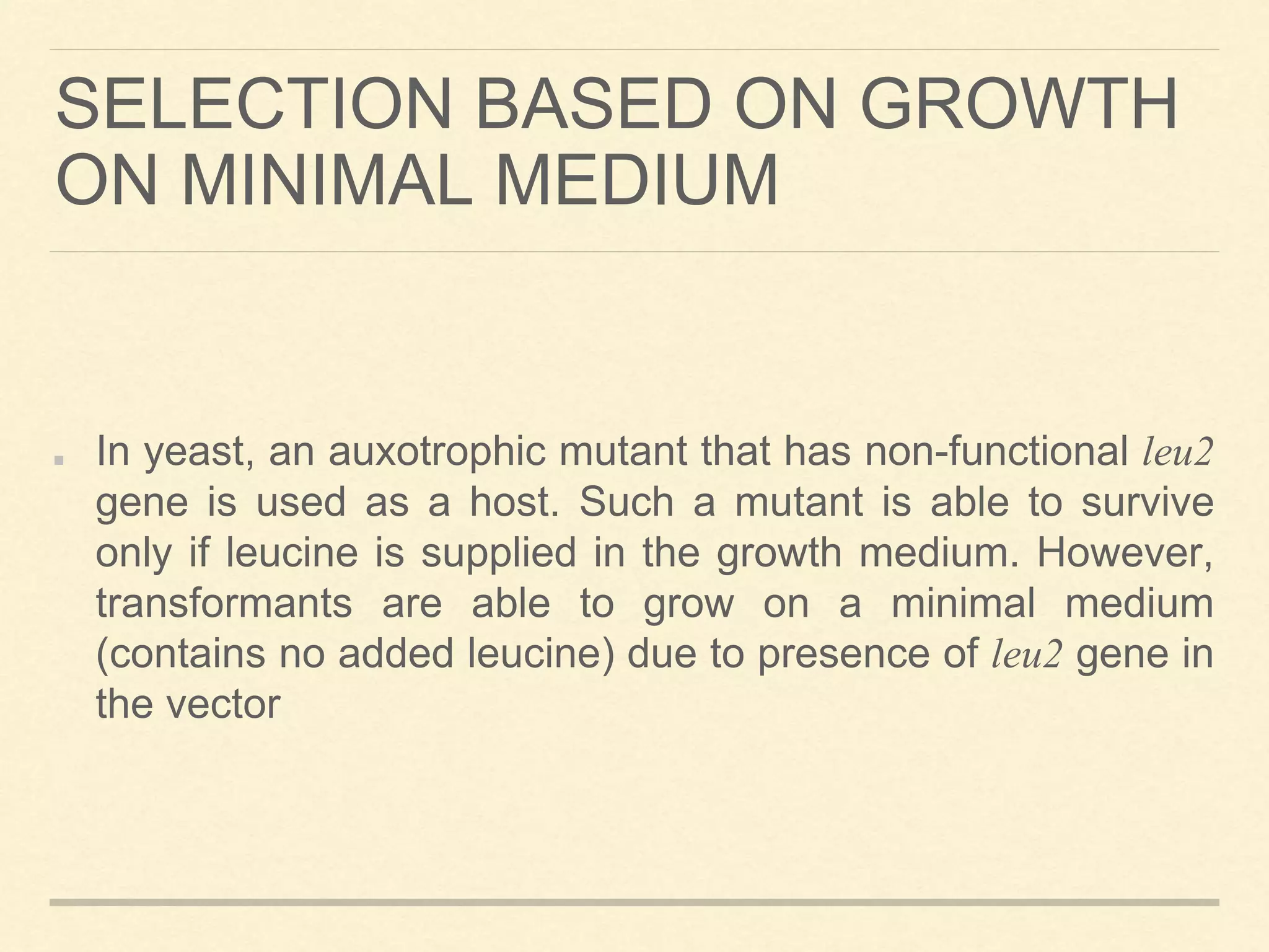 SELECTION BASED ON GROWTH
ON MINIMAL MEDIUM
In yeast, an auxotrophic mutant that has non-functional leu2
gene is used as a host. Such a mutant is able to survive
only if leucine is supplied in the growth medium. However,
transformants are able to grow on a minimal medium
(contains no added leucine) due to presence of leu2 gene in
the vector
 