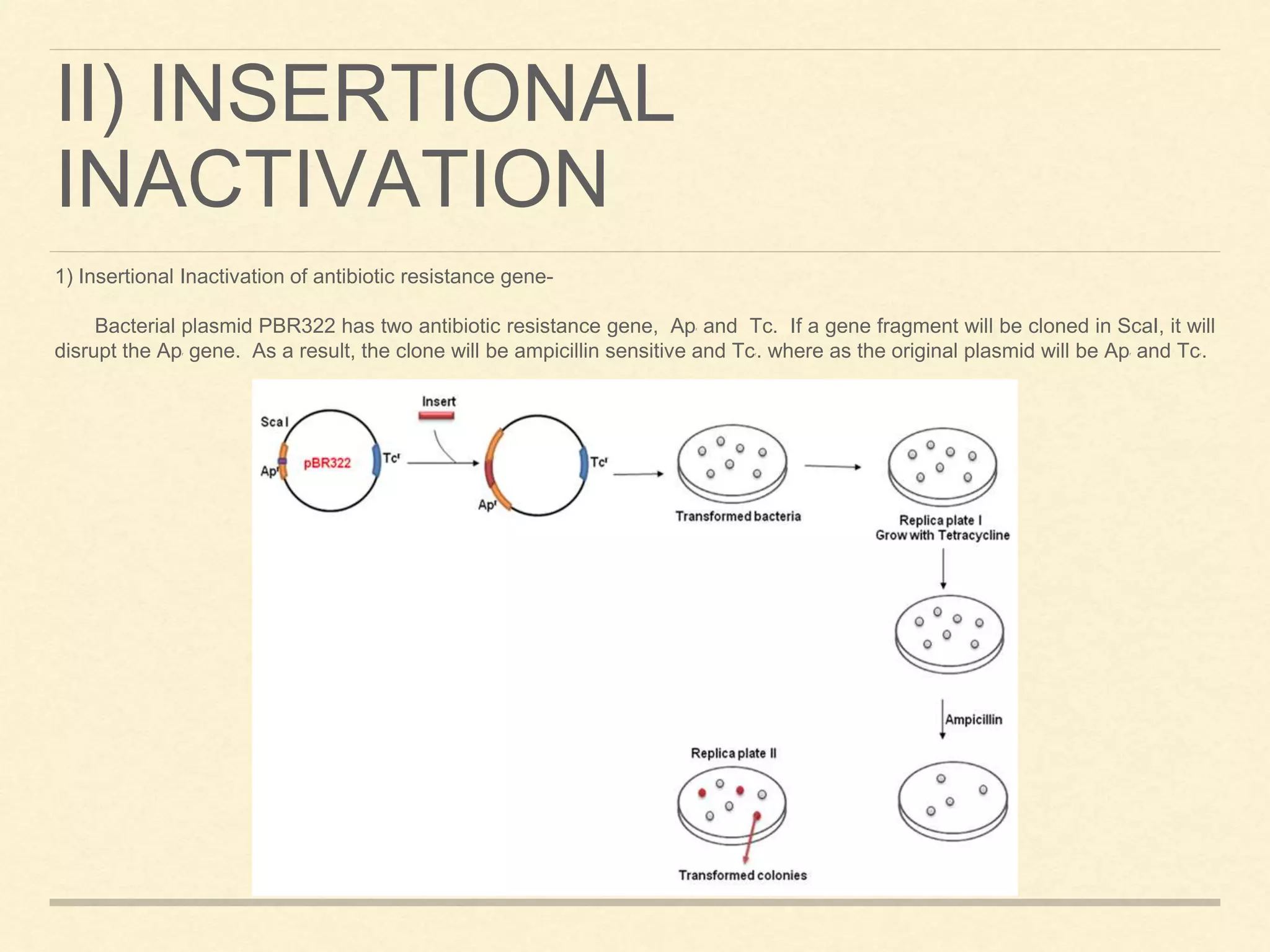 II) INSERTIONAL
INACTIVATION
1) Insertional Inactivation of antibiotic resistance gene-
Bacterial plasmid PBR322 has two antibiotic resistance gene, Apr and Tc. If a gene fragment will be cloned in ScaI, it will
disrupt the Apr gene. As a result, the clone will be ampicillin sensitive and Tcr. where as the original plasmid will be Apr and Tcr.
 