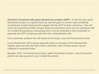 Chimeric Construct with green fluorescent protein (GFP) - In the live cell, green
fluorescent protein is a good choice as reporter gene to screen cells containing
recombinant protein fluorescently tagged with the GFP at their c-terminus. The cell
receiving recombinant DNA will give green fluorescence and it can be visualized with
an inverted fluorescence microscope and it can be analyzed in flow cytometer to
separate the GFP containing cells from the untransfected cells.
Flow cytometer analysis the cell based on its shape, size and fluorescence level.
A non-fluorescent cell is giving separate peak as compare to the fluorescently
labeled cells and with the help of flow cytometer, both of these peaks can be
collected in separate tubes.
Besides, GFP, red fluorescent protein, yellow fluorescent protein, cyan fluorescent
protein are also popular to use to label the protein.
 