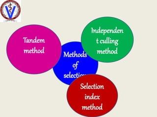 methods of selection animal genetics.pptx