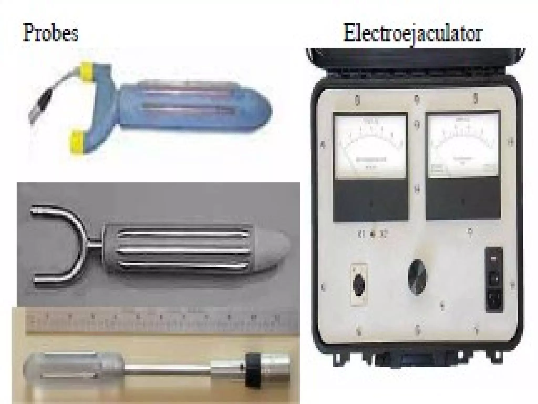 Methods of semen collection in animals