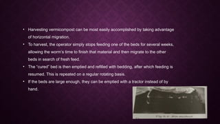 • Harvesting vermicompost can be most easily accomplished by taking advantage
of horizontal migration.
• To harvest, the operator simply stops feeding one of the beds for several weeks,
allowing the worm’s time to finish that material and then migrate to the other
beds in search of fresh feed.
• The “cured” bed is then emptied and refilled with bedding, after which feeding is
resumed. This is repeated on a regular rotating basis.
• If the beds are large enough, they can be emptied with a tractor instead of by
hand.
 