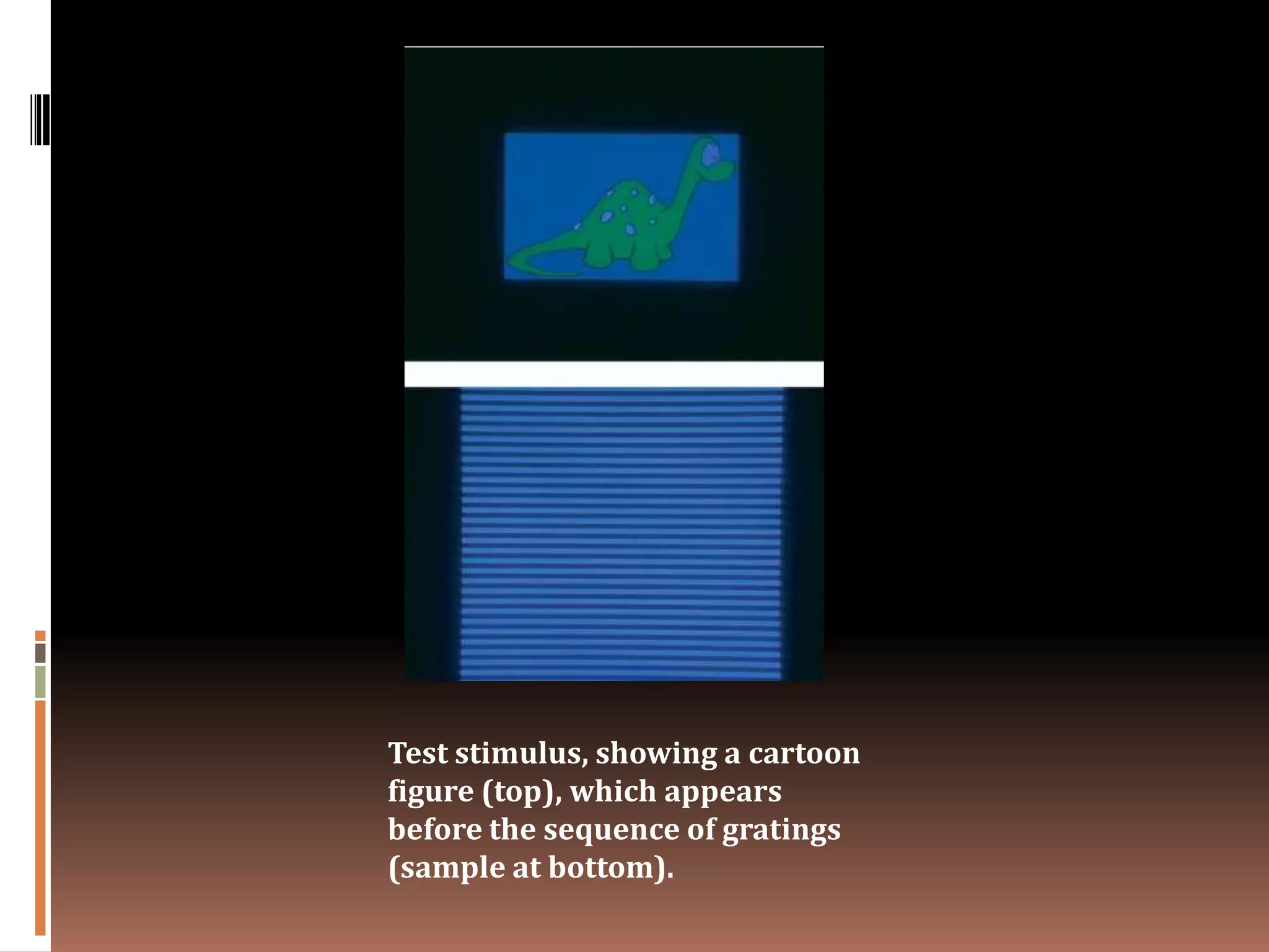 Test stimulus, showing a cartoon
figure (top), which appears
before the sequence of gratings
(sample at bottom).
 