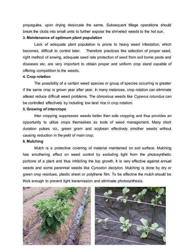 Methods of weed control PDF