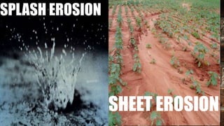 SPLASH EROSION
SHEET EROSION
 