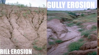 RILL EROSION
GULLY EROSION
 