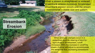 Streambank
Erosion
When a stream is straightened or widened,
streambank erosion increases. Accelerated
streambank erosion occurs until the stream
reestablishes a stable size and pattern.
When land use changes occur in a
watershed, such as clearing of land for
agriculture or development, runoff
increases. With this increase in runoff the
stream channel will adjust to accommodate
the additional flow, increasing streambank
erosion.
 
