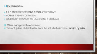 SOILSTABILIZATION:
 THEPLANT ROOT SYSTEMBINDTHESOILAT THE SURFACE.
 INCREASE STRENGTH OF THE SOIL.
 SOIL EROSION BY RUNOFF WATER AND WIND IS DECREASED.
 Water managementmechanisms:
 The root system abstract water from the soil which decreases erosion bywater
 