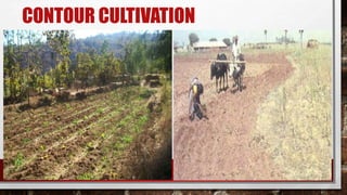 CONTOUR CULTIVATION
 