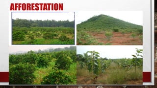 AFFORESTATION
 