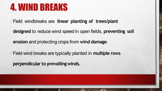 4. WIND BREAKS
Field windbreaks are linear planting of trees/plant
designed to reduce wind speed in open fields, preventing soil
erosion and protecting crops from wind damage.
Field wind breaks are typically planted in multiple rows
perpendicular to prevailingwinds.
 