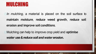 MULCHING
In mulching, a material is placed on the soil surface to
maintain moisture, reduce weed growth, reduce soil
erosion and improve soilconditions.
Mulching can help to improve crop yield and optimise
water use&reducesoiland watererosion.
 
