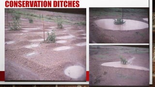 CONSERVATION DITCHES
 