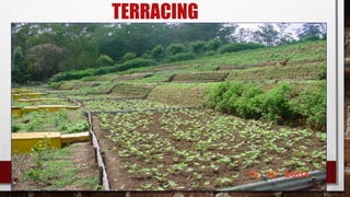 TERRACING
 