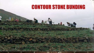 CONTOUR STONE BUNDING
 