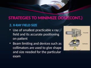 STRATEGIES TO MINIMIZE DOSE(CONT.)
2. X-RAY FIELD SIZE
• Use of smallest practicable x ray
field and its accurate positioning
on patient
• Beam limiting and devices such as
collimators are used to give shape
and size needed for the particular
exam
 