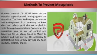 Methods To Prevent Mosquitoes
Mosquito controls DE 19709 focus on the
mosquito population and treating against the
mosquitos. The latest techniques can use for
pest management. It is necessary to know
when and where pesticides are applied to
control mosquito populations. Sometimes the
mosquitoes can be out of control and
dangerous for us. Mainly found in March to
October, and ruin our life. It’s necessary to
control these flies so they can’t do any harm
to adults, children, or pets.
 