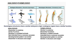 Different Methods to study evolution.pptx