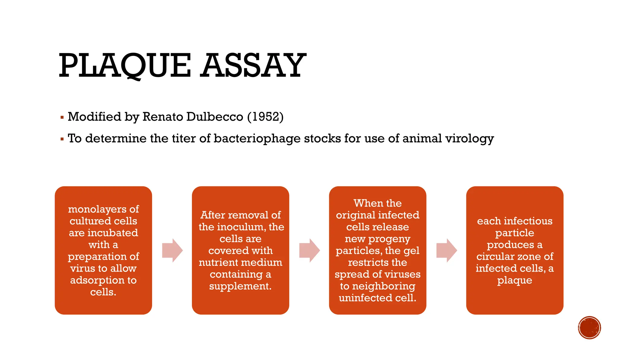 PLAQUE ASSAY
▪ Modified by Renato Dulbecco (1952)
▪ To determine the titer of bacteriophage stocks for use of animal virology
monolayers of
cultured cells
are incubated
with a
preparation of
virus to allow
adsorption to
cells.
After removal of
the inoculum, the
cells are
covered with
nutrient medium
containing a
supplement.
When the
original infected
cells release
new progeny
particles, the gel
restricts the
spread of viruses
to neighboring
uninfected cell.
each infectious
particle
produces a
circular zone of
infected cells, a
plaque
 
