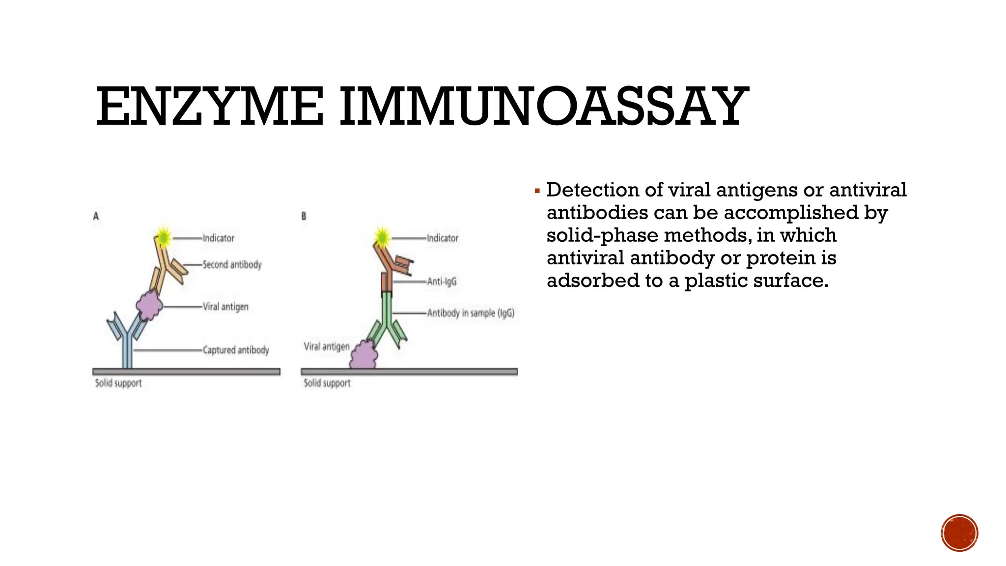 ENZYME IMMUNOASSAY
▪ Detection of viral antigens or antiviral
antibodies can be accomplished by
solid-phase methods, in which
antiviral antibody or protein is
adsorbed to a plastic surface.
 