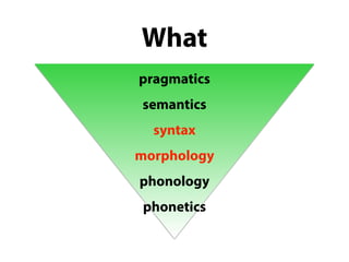 pragmatics
semantics
syntax
morphology
phonology
phonetics
What
 