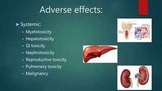 Adverse effects:
 Systemic:
 Myelotoxicity
 Hepatotoxicity
 GI toxicity
 Nephrotoxicity
 Reproductive toxicity
 Pulmonery toxicity
 Malignancy
 