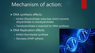 Mechanism of action:
 DNA synthesis effects:
 Inhibit Dihydrofolate reductase which converts
dihydrofolate to tetrahydrofolate
 Tetrahydrofolate is essential for DNA synthesis
 DNA Replication effects:
 Inhibit thymidylate synthase
 Decrease dTMP sythesis
 