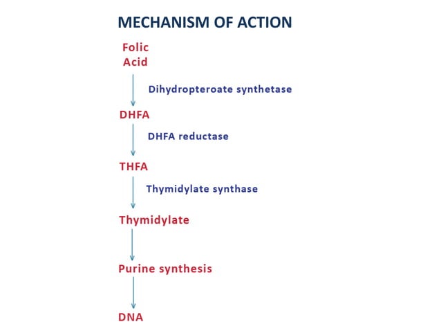 Methotrexate - A Comprehensive Drug Review in Dermatology | PPT